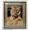 Image 1 : FRAMED TIGER PRINT 22 X 28