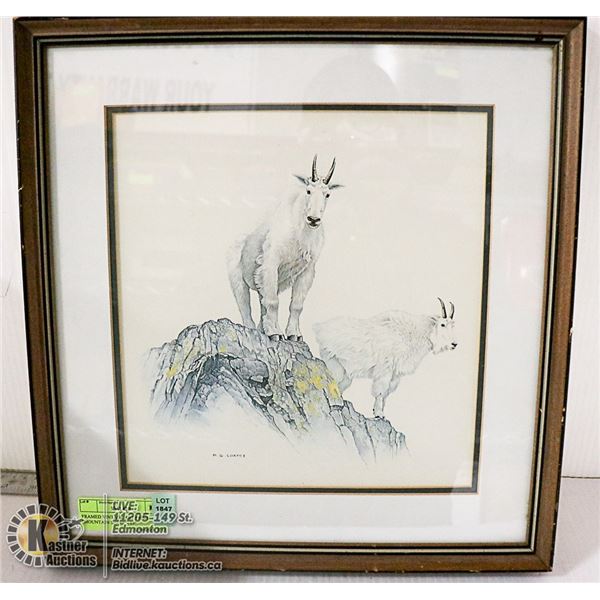 FRAMED VINTAGE ART PRINT "MOUNTAIN SHEEP"- 15"