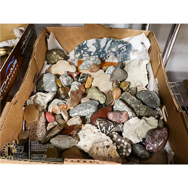 FOSSILS, MINERALS AND ROCKS- LARGE BOX LOT