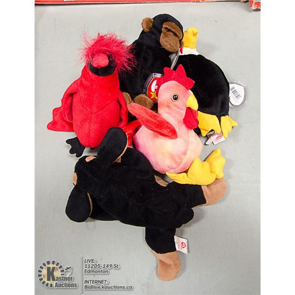 LOT OF 5 ASSORTED TY BEANIES