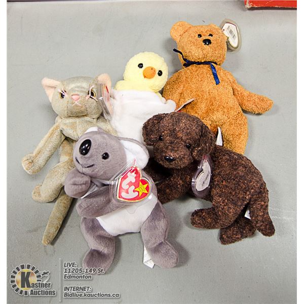 LOT OF 5 ASSORTED TY BEANIES