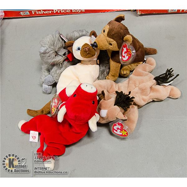 LOT OF 5 ASSORTED TY BEANIES