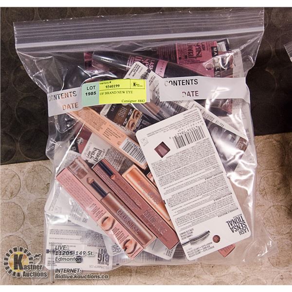 BAG LOT OF BRAND NEW EYE MAKEUP