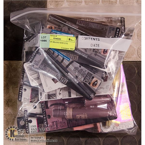 BAG LOT OF BRAND NEW EYE MAKEUP