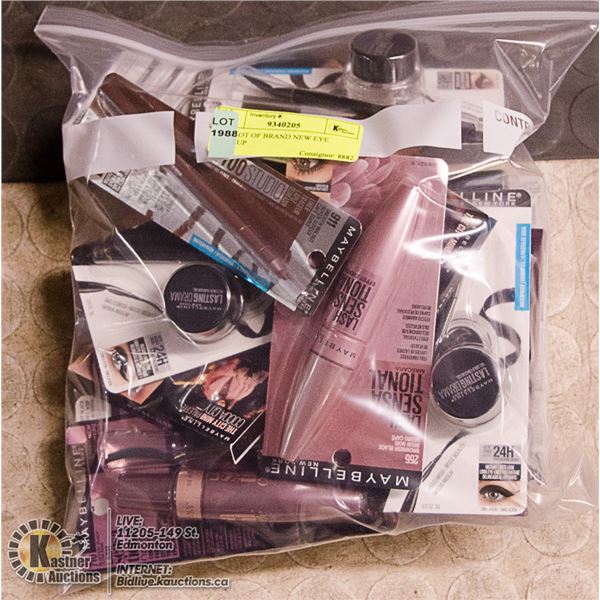 BAG LOT OF BRAND NEW EYE MAKEUP