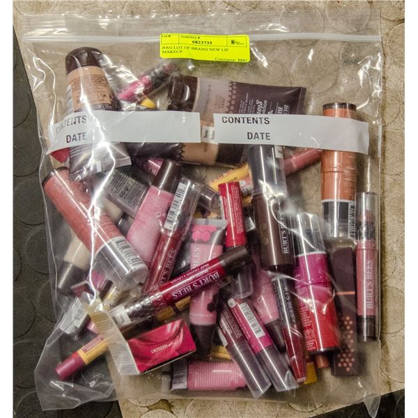 BAG LOT OF BRAND NEW LIP MAKEUP