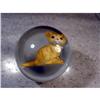 Image 1 : BB Marbles: Kitten Sulphide