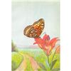 Image 1 : 1920's Silver-Spot Fritillary Butterfly Color Lithograph Print