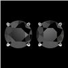 Image 1 : 2.60 ctw Fancy Black Diamond Solitaire Stud Earrings 10k White Gold - REF-43H2R