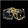 Image 3 : 2.09 ctw Fancy Black Diamond Solitaire Stud Earrings 10k Yellow Gold - REF-35M6G