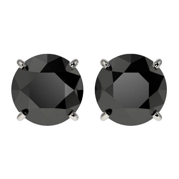 2.60 ctw Fancy Black Diamond Solitaire Stud Earrings 10k White Gold - REF-43F2M