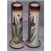 Image 1 : PAIR OF 12¼" VICTORIAN HAND PAINTED MILK G