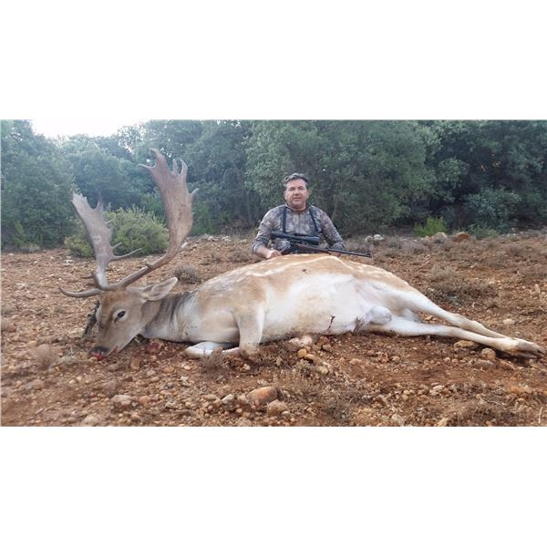 Hunt and Tour Experience in Spain