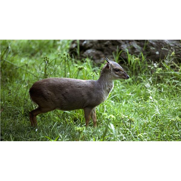 Blast and Cast in Eastern Cape Province of South Africa