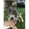 Image 1 : White-tailed Deer Hunt in Wisconsin