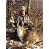 Image 3 : White-tailed Deer Hunt in Wisconsin