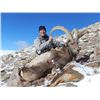 Image 3 : Mid-Asian Ibex Hunt in Kyrgyzstan or Tajikistan