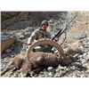 Image 4 : Mid-Asian Ibex Hunt in Kyrgyzstan or Tajikistan