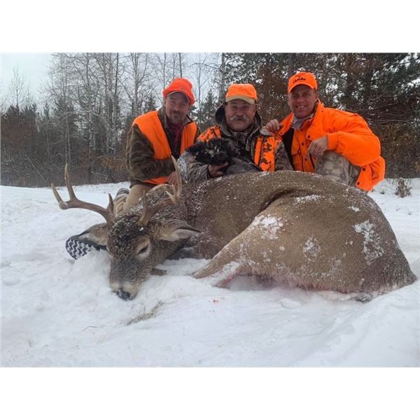 5-Day Northern Wisconsin Free Range Northeastern Whitetail Rifle Hunt
