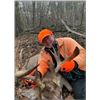 Image 2 : 5-Day Northern Wisconsin Free Range Northeastern Whitetail Rifle Hunt