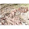 Image 2 : Over 200 Patio Bricks- To be Hand Balmed When Loading  From Estate Please contact For Viewing 204-23