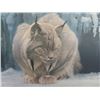 Image 2 : Robert Bateman Print 1987- "Bobcat" 34" x 22"