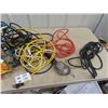 Image 2 : Extension Cords, Treble Lights