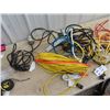 Image 3 : Extension Cords, Treble Lights