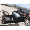 Image 5 : Single Seat Horse Buggy