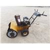 Image 1 : (DS) 5.5 HP 26" Snowblower - Works