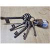 Image 3 : Iron locks & skeleton keys