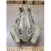 Image 3 : Giant garden frog