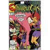 Image 1 : 1980's Thundercats