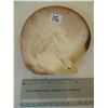 Image 2 : 570 BEAUTIFUL CARVED SEA SHELL