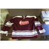 Image 1 : U of S Commerce #22 Hockey Jersey, circa 1975