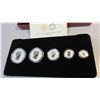 Image 7 : 2015 Canadian Fine Silver Fractional Coin Set - 99.9% Pure Silver - Maple Leaf Tribute - 5 Piece
