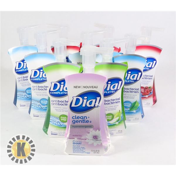 BAG ASSORTED DIAL COMPLETE HAND WASH