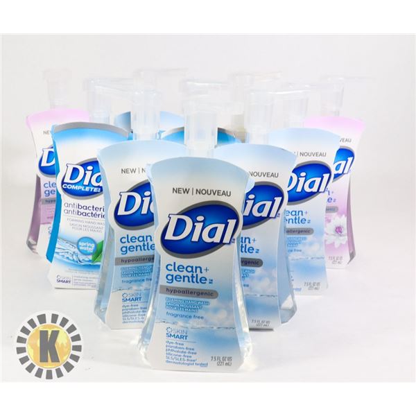 BAG ASSORTED DIAL COMPLETE HAND WASH