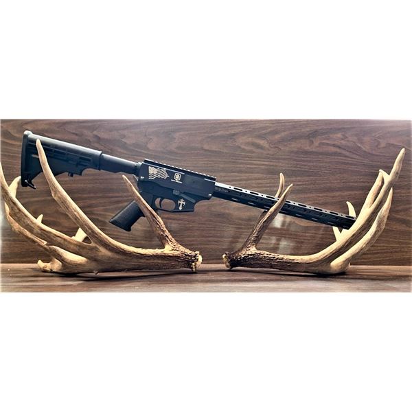 Count's Kustoms 9mm AR Style Custom Rifle