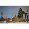 Image 7 : Camp Freedom Deer Hunt - Unlimited Buck
