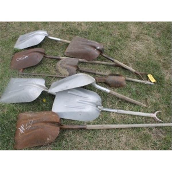 5 SHOVELS & AUGER
