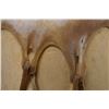 Image 8 : NATIVE AMERICAN PUEBLO DRUM