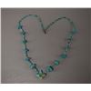 Image 1 : NATIVE AMERICAN SANTO DOMINGO TURQUOISE FETISH NECKLACE