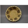 Image 5 : NATIVE AMERICAN PAPAGO BASKETRY BOWL