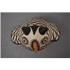 Image 5 : NATIVE AMERICAN ZUNI INDIAN POTTERY OWL BY C LAATE