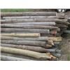 Image 2 : Approx 50 wood fence posts