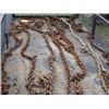 Image 1 : APPROX 8 CHAINS