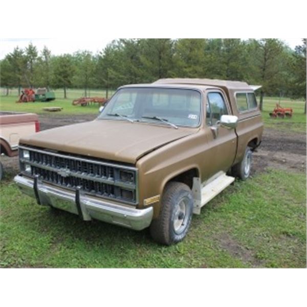 1981 CHEV SILVERADO HALF TON