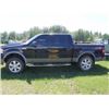 Image 2 : 2006 FORD F150 FX4