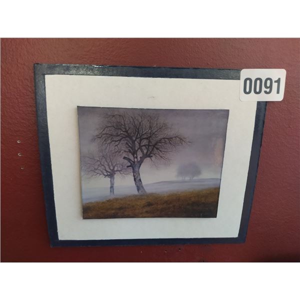 Framed picture "Paisaje De Ocomo"